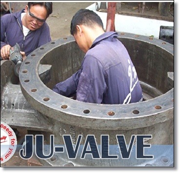 Swing Check Valve Repair